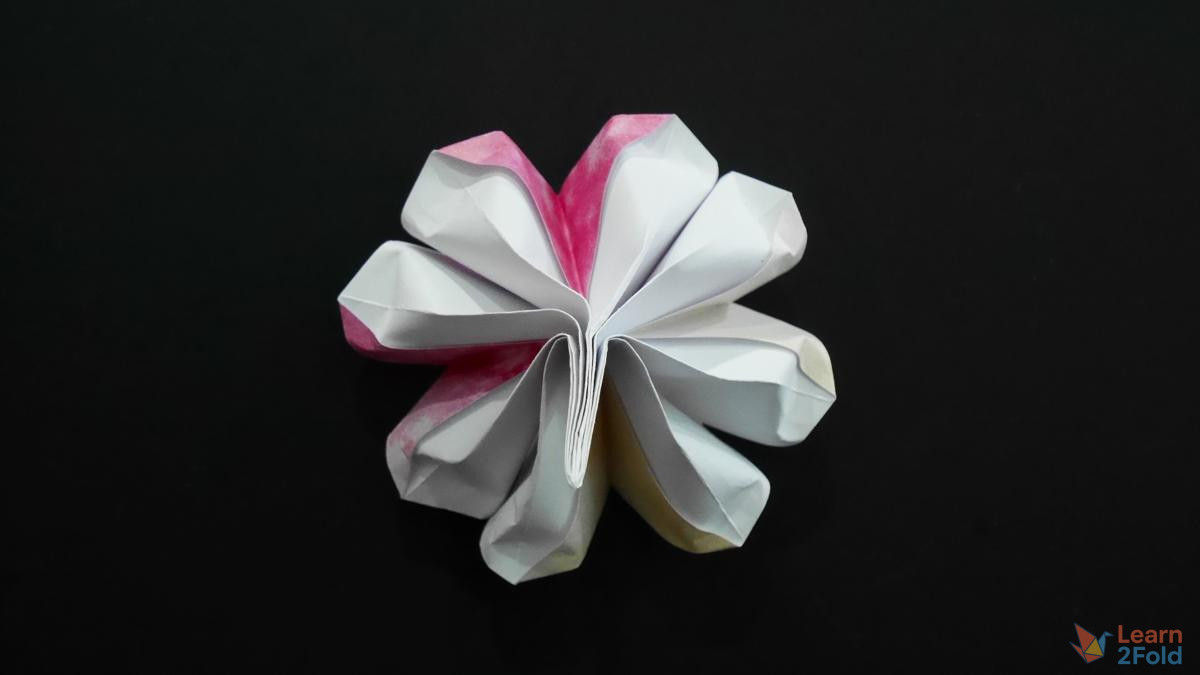 origami 8-petal flower