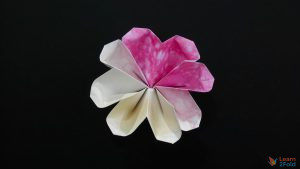 origami 8-petal flower
