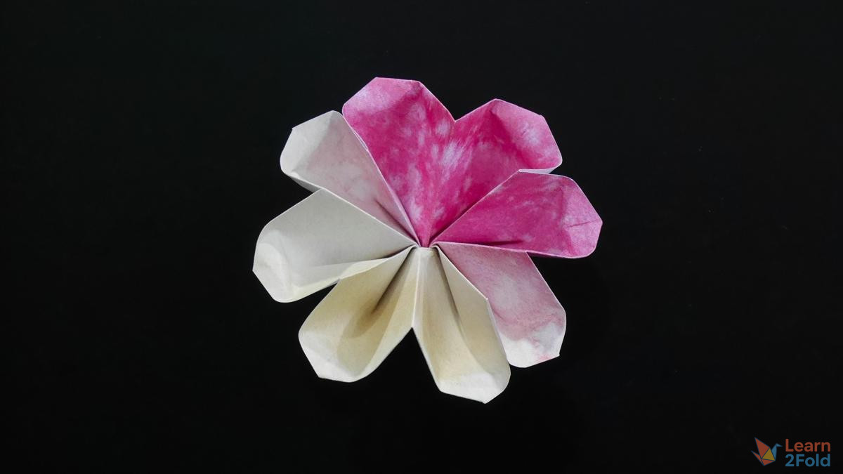 origami 8-petal flower