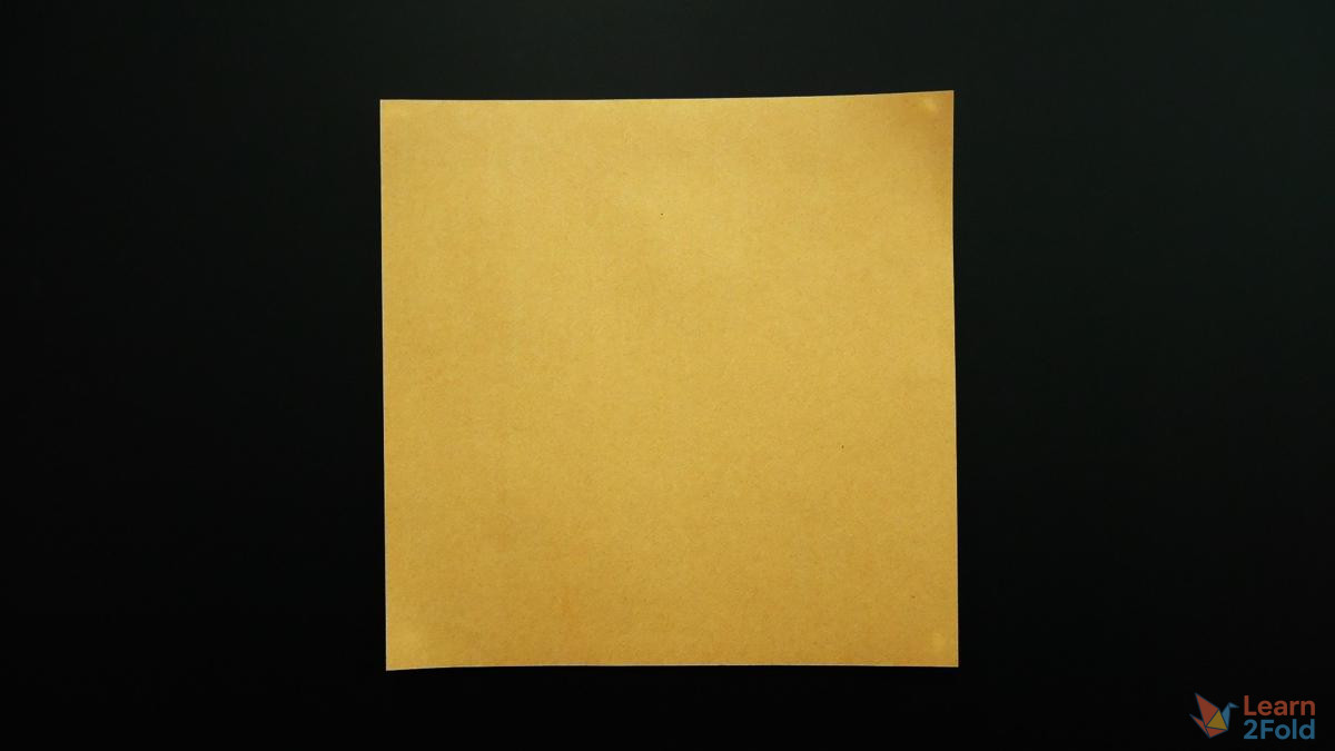 Origami Camellia Flower (1) Origami Camellia Flower