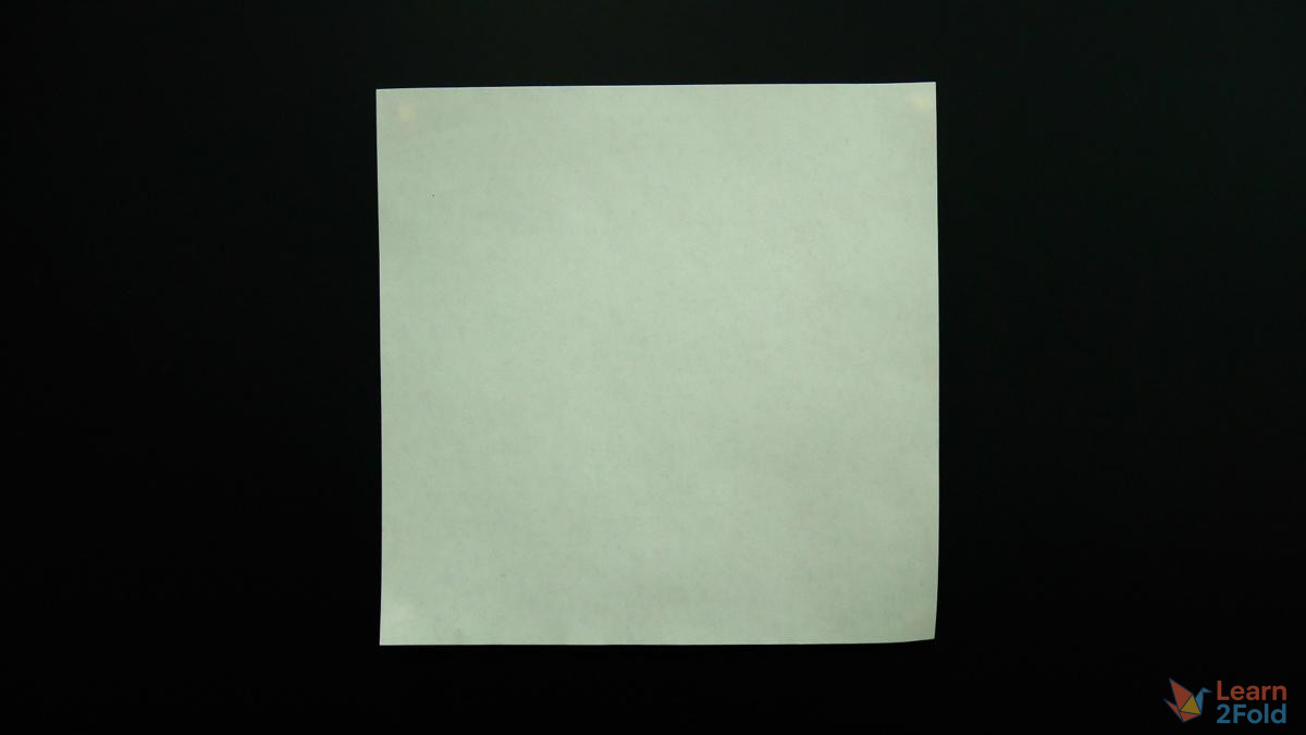 Origami Camellia Flower (2) Origami Camellia Flower