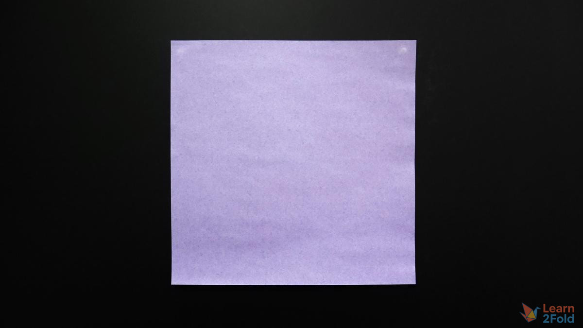 origami butterfly (1) origami butterfly