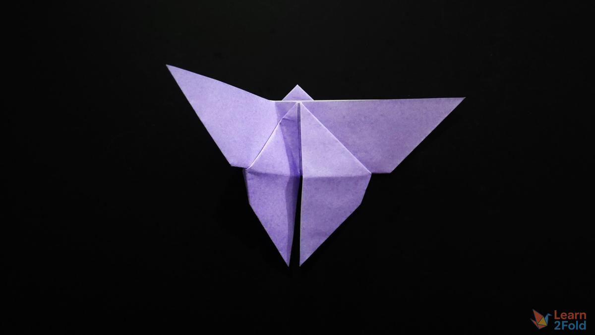 origami butterfly (20) origami butterfly