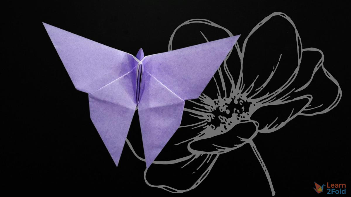 origami butterfly (22) origami butterfly