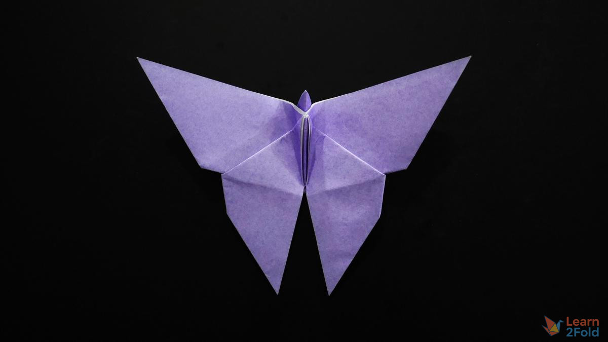 origami butterfly origami butterfly