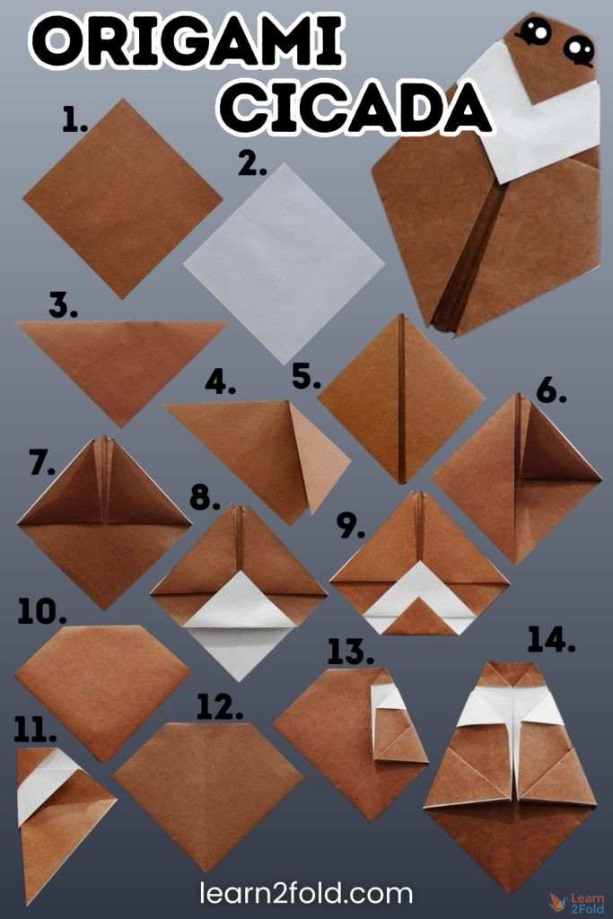 origami cicada pinterest