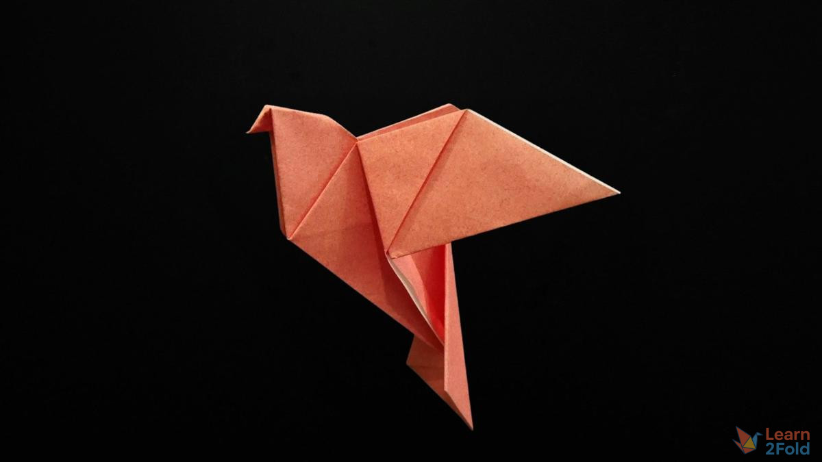 origami dove origami dove