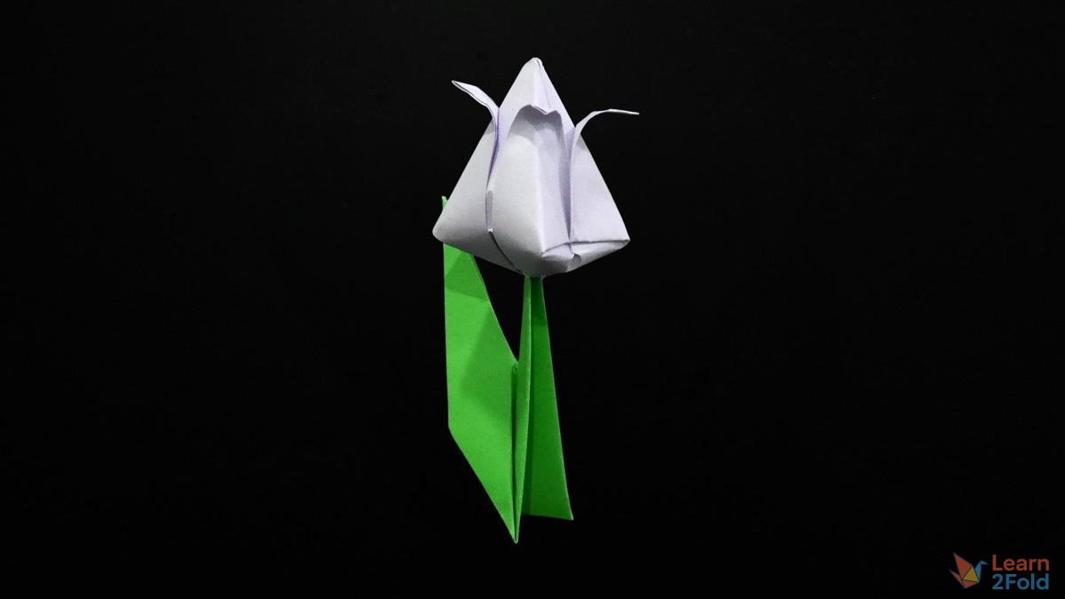 origami tulip (38) origami tulip