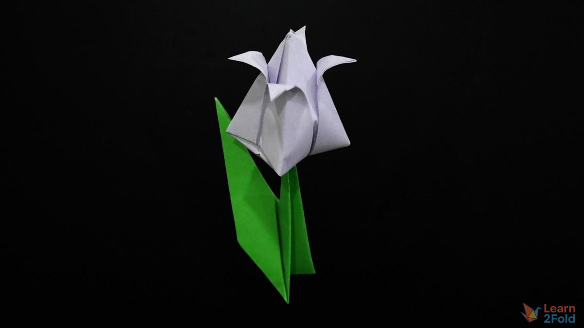 origami tulip (40) origami tulip