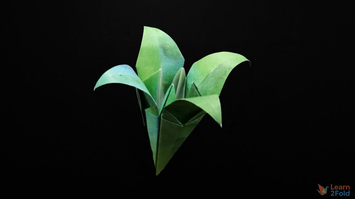 origami daylily (30) origami daylily